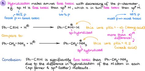 Basicity Of Amines Organic Chemistry Tutor