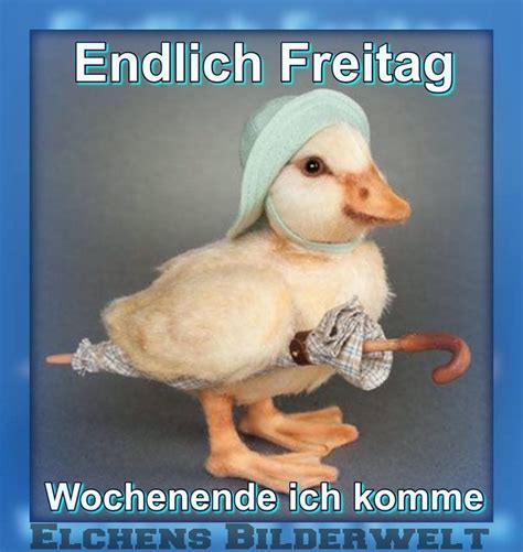 Freitag Wochenende Freitag Lustig Freitag Spr Che