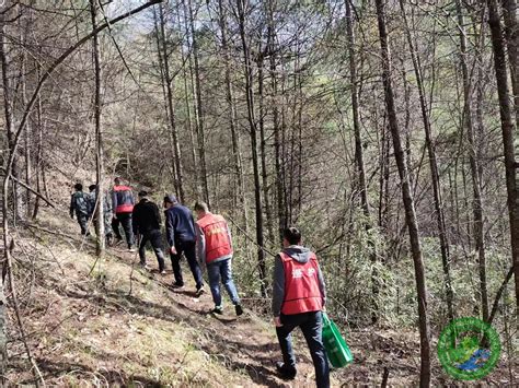 三抓三促”行动进行时】清明时节不放松 森林防火正当时——云坪林场扎实开展清明节前森林防火工作 云坪林场 甘肃省小陇山林业保护中心官方网站