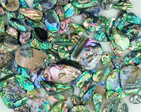 Natural Paua Abalone Shell Gemstone Lot Paua Abalone Shell Cabochon Lot