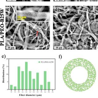 Sem Micrographs Of Pla Peo A L A Pla Peo B L B Pla Peo A L