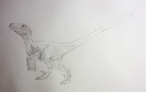 Deinonychus | Yale Peabody Museum