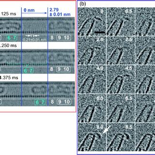 Color Online Real Time TEM Imaging A In Situ Observation Of The