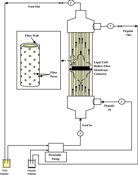 A Schematic Diagram Of The Experimental Setup With The Hollow Fiber