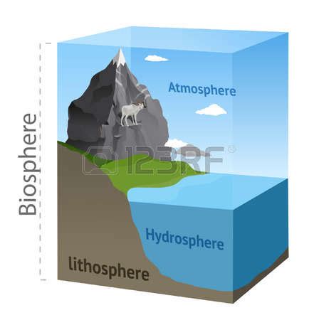 Biosphere clipart 20 free Cliparts | Download images on Clipground 2024