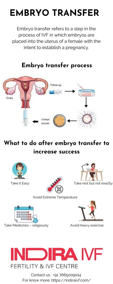 PPT - Embryo Transfer PowerPoint Presentation, free download - ID:2575503