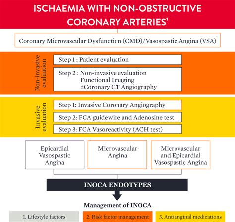 Ischemia with Non-Obstructive Coronary Arteries Diagnosis | Abbott