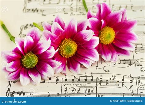 Flowers On Sheet Music Stock Photo - Image: 43661880