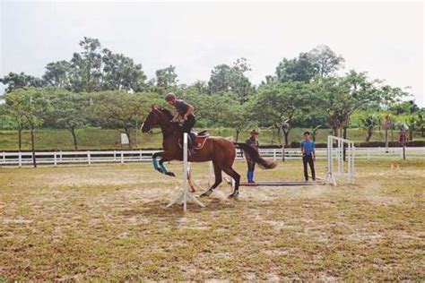 Top 8 Horse Riding In Johor Ek 168 Transport