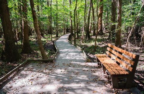 Congaree National Park | WPBS | Serving Northern New York and Eastern ...