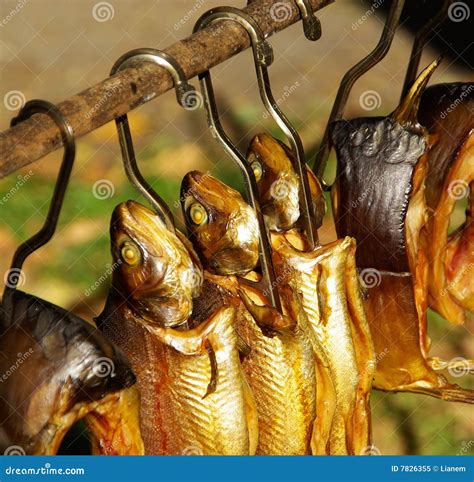 Smoked Fish Stock Image Image Of Carp Food Fish Cure 7826355