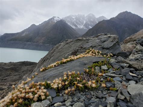 mt. cook national park - Subtle Yoga