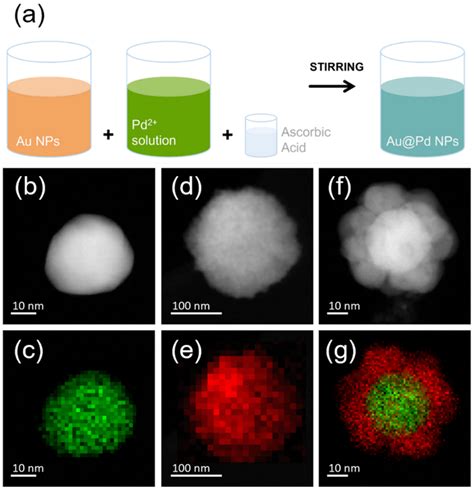 A Schematic Representation Of Au Pd Coreshell Nps Stem B D F