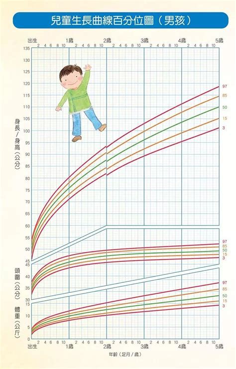 餵養 你會判斷寶寶生長發育正常與否嗎教你一招寶寶生長曲線輕鬆查 壹讀