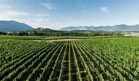 Discover the Wines, Wineries & Vineyards of British Columbia