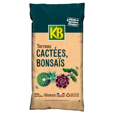 Terreau Kb Cactees L