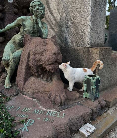50 Feline Friends Who Decided Cemeteries Were The Best Spot To Chill