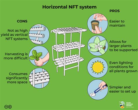 Pros And Cons Of Nft Hydroponic System Infographic Your Indoor