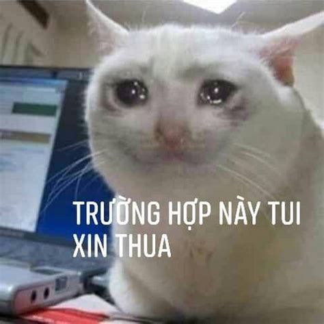 Meme Bất Lực Bất Ổn Siêu Bựa 100 Ảnh Bất Lực Hài Hước