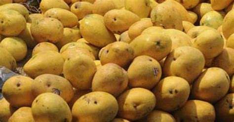 Malaysians taste Pakistani mangoes - DAWN.COM