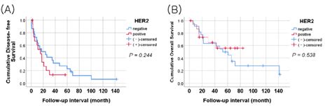 Kaplan Meier Survival Curves A Disease Free Survival Dfs Curve In Download Scientific