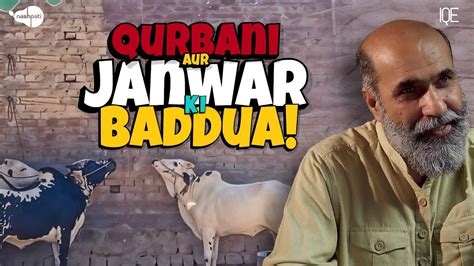 Aap Ki Qurbani Aur Janwar Ki Baddua Eid Ul Adha Qurbani