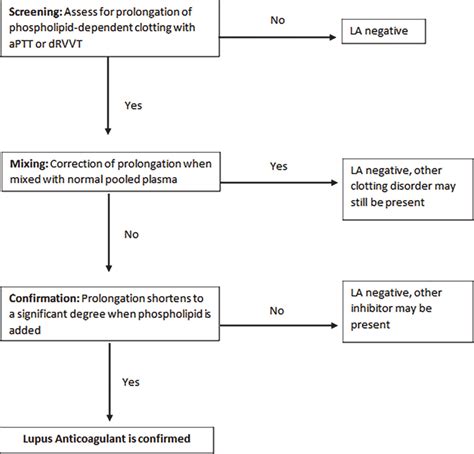 Testing For Lupus Anticoagulant Adapted [67] Download Scientific Diagram