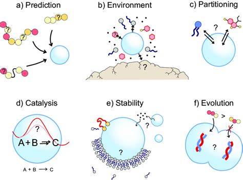 Open Questions On Phase Separated Droplets And The Origins Of Life An