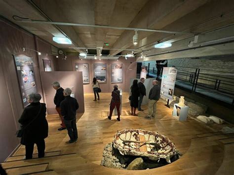 Visite Guidée De L exposition Mât De Misène La Navigation Dans L