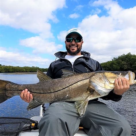 Top 5 Inshore Gamefish In Tampa - Bag´Em Fishing Charters