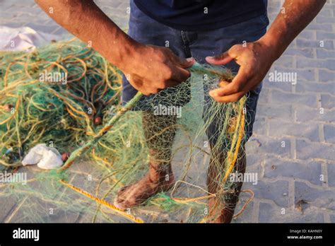 Gaza City, The Gaza Strip, Palestine. 25th Sep, 2017. Palestinian fishermen pull their nets as ...