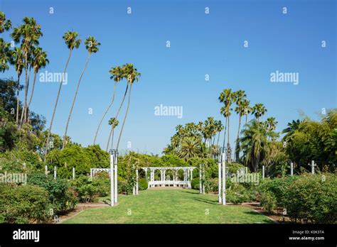 The Beautiful Rose Garden At Los Angeles County Arboretum And Botanic