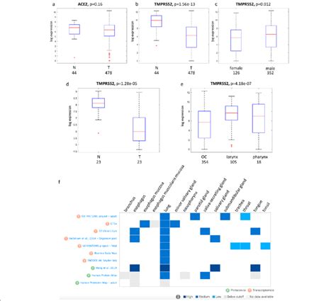 Distribution Of Ace2 And Tmprss2 Gene Expression In Hnscc Patients Download Scientific Diagram