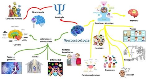 Mapa Mental Neuropsicologia Pptx