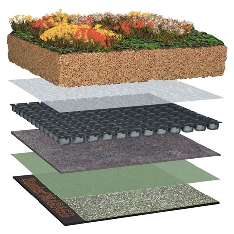 Dachbegrünung ökologische Alternative Dieter Otto GmbH