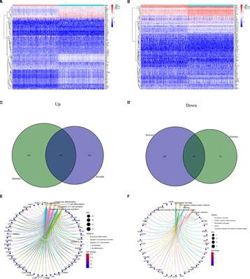 Frontiers Machine Learning Immune Related Gene Based On KLRB1 Model