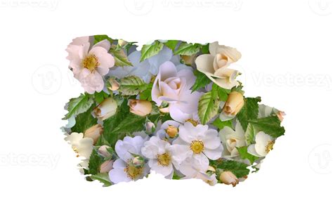 Flower Sublimation Clipart Png 21444260 Png