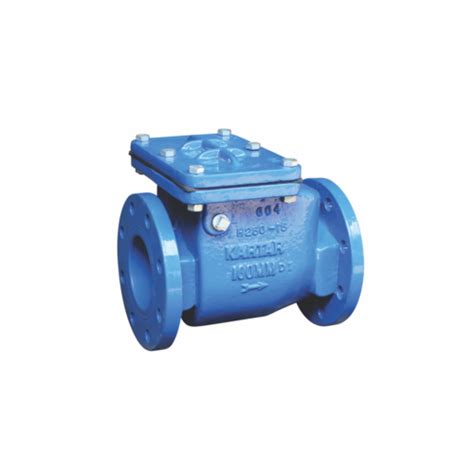 Ductile Iron Non Return Reflux Valves Flanged Ends In Swing Type