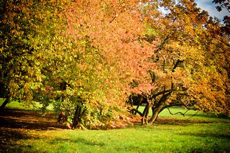 Herbst Dirk Ehlen Flickr