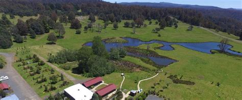 Tarraleah Cabins & Cottages - Tasmania Cabins and Cottages