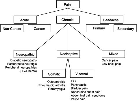 Treating Acute Pain In Light Of The Chronification Of Pain Pain