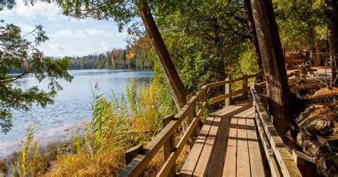 This elevated boardwalk is just one hour from Toronto