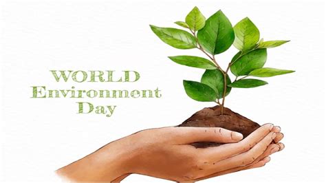 World Environment Day 2022 5 जून को ही क्यों मनाया जाता है विश्व पर्यावरण दिवस क्या है इस साल