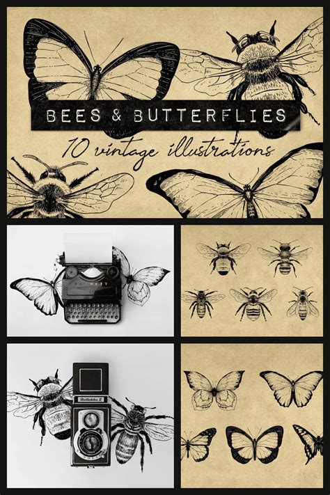 10 Best Butterfly Pattern Images In 2021 Free And Premium