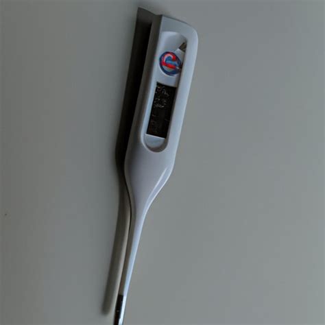 Cvs Health Temple Digital Thermometer How To Use Digital World