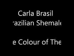 Carla Brazil Free Mobile Porn Videos IPornTV