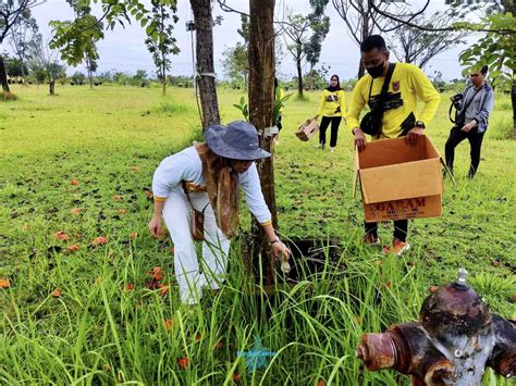 Infopublik Pungut Sampah Botol Plastik