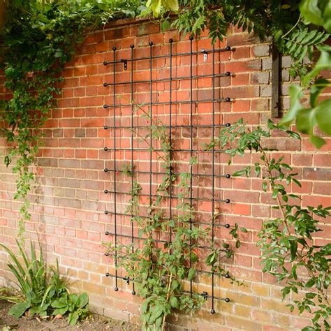 Metal Garden Trellis Harrod Horticultural