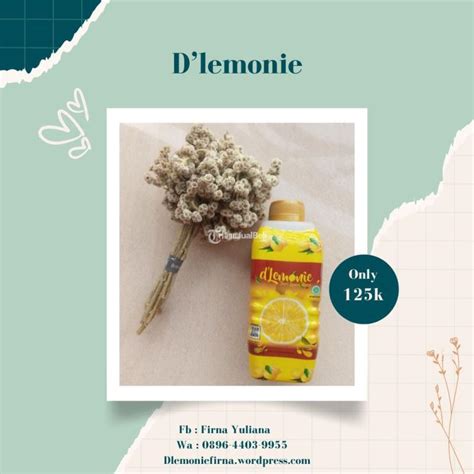 Terlengkap Obat Herbal Pelangsing Tubuh Tanpa Efek Samping Dlemonie Di