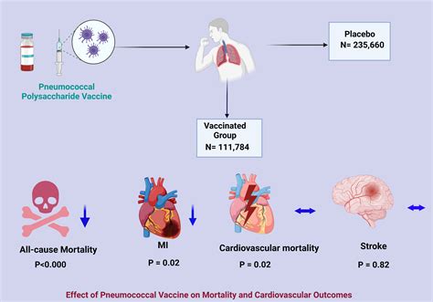 Jcm Free Full Text Effect Of Pneumococcal Vaccine On Mortality And Cardiovascular Outcomes